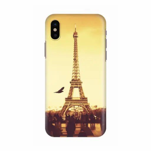 Paris case