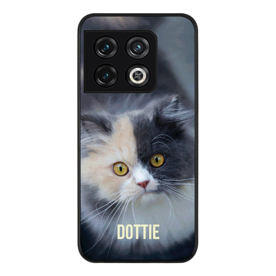 OnePlus 10 Pro 5G / Rugged Black Personalized Pet Cat, Phone Case - OnePlus - Stylizedd.com