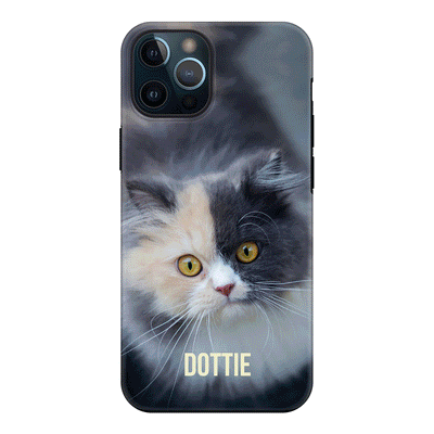 Apple iPhone 12 Pro Max / Tough Pro Personalized Pet Cat, Phone Case - Stylizedd.com